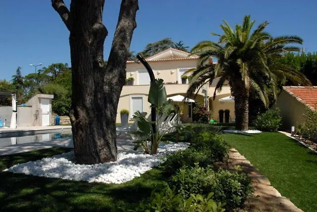 Maxime 4 Pieces * 圣马克西姆